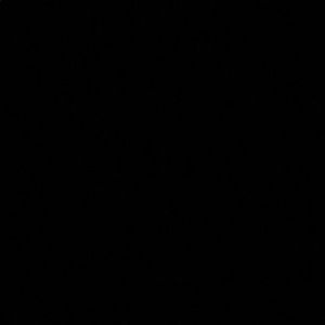 Meet your Posher, Lilly